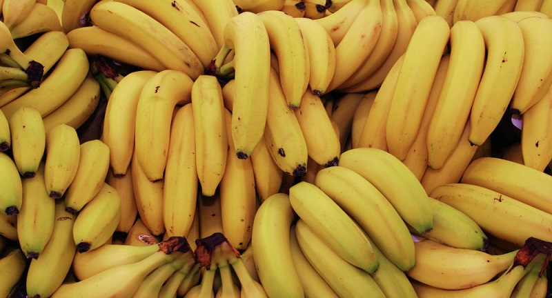 Des chercheurs africains proposent de fabriquer des voitures à l’aide de fibres de bananes