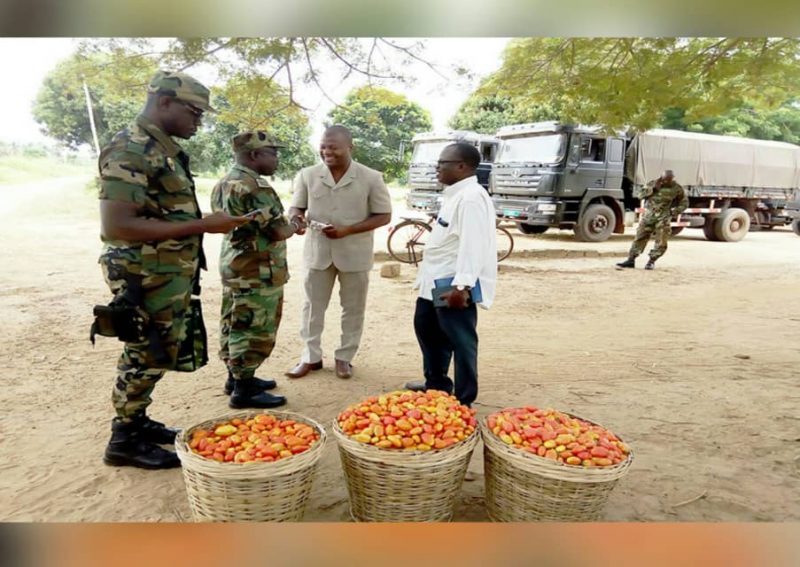 Togo : l’armée achète plus de 200 paniers de tomates dans les Lacs ; la raison