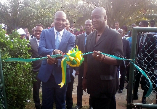 KPEKPE 2017, capitaliser les efforts de la diaspora pour le Togo