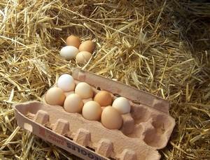 La choline, un type de vitamine B, améliore la mémoire et l’attention