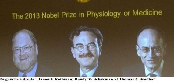 Le Nobel de médecine attribué à un duo américain et à un Allemand