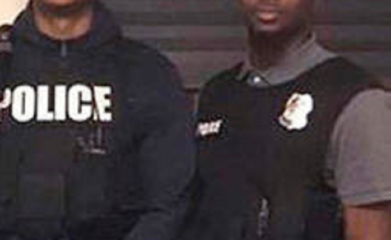 500 kg de cannabis portés disparus, les policiers accusent des souris