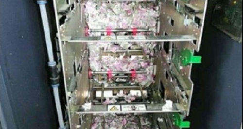 Inde : des rats braqueurs de guichet automatique ont abîmé 18 000 dollars