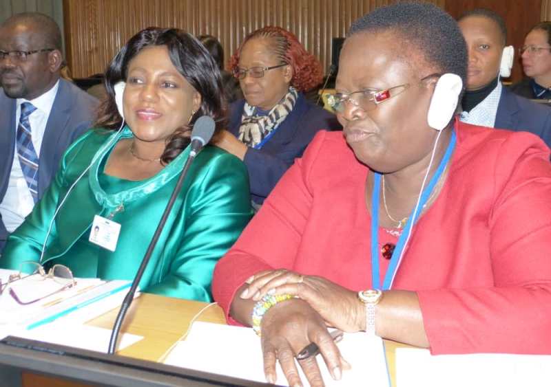 Togo-63e Session de la Commission de la Condition de la femme à New York : Mme Tsegan a participé aux travaux