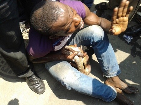 (Photo) Un porte-monnaie volé se transforme en serpent dans la main du voleur