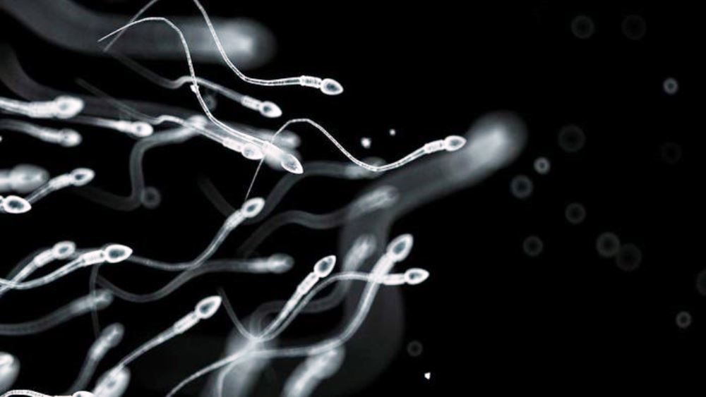 9 choses que vous ne savez (sans doute) pas sur la reproduction humaine