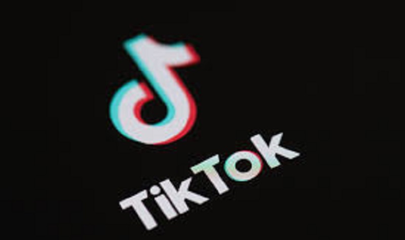 À 16 ans, « la reine » de TikTok bat tous les records