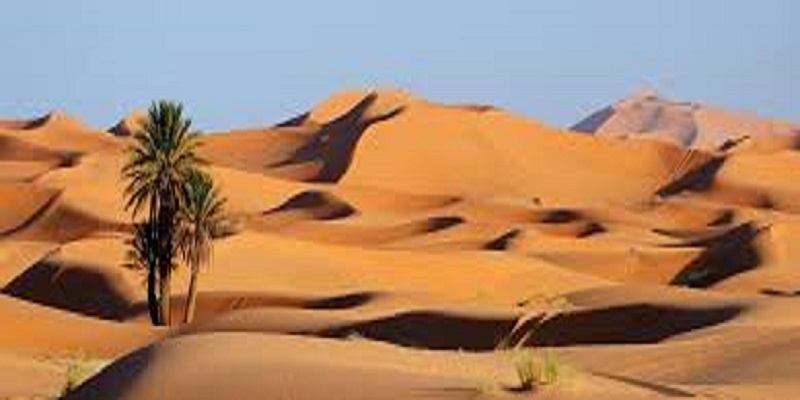 À couper le souffle : le Sahara recouvert de neige (photos)