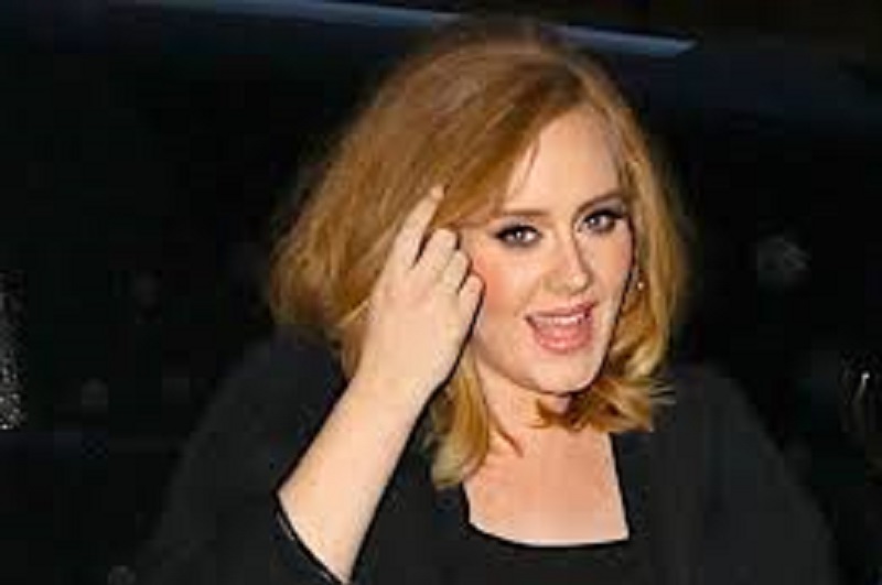Adele : la chanteuse annonce son tout nouveau projet, mais déçoit des fans (photo)