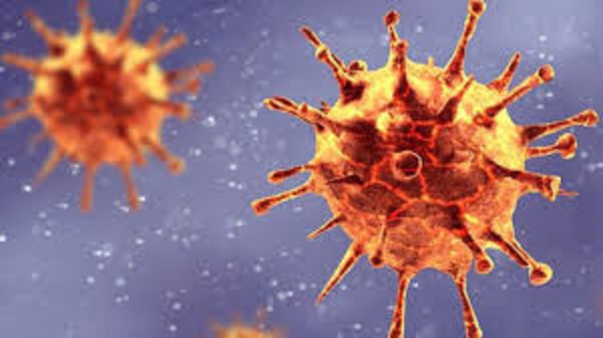 Afrique du Sud / Coronavirus : la prédominance d’une variante plus contagieuse