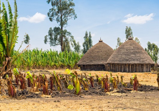 Agri-PME : le porte-monnaie électronique des paysans togolais