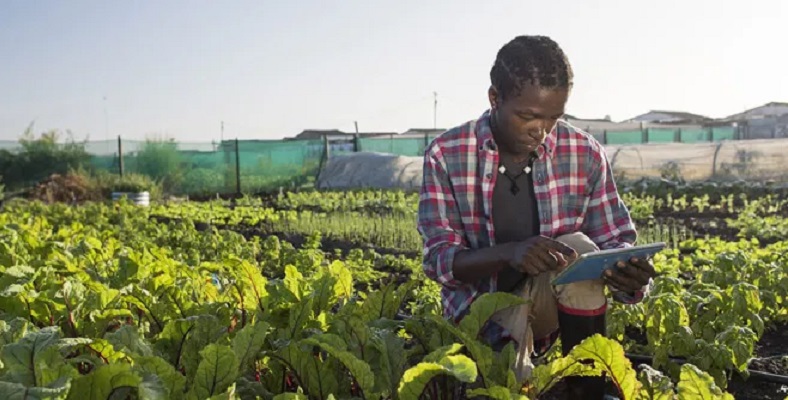 AgriPitch 2020 : les lauréats primés avec 120 000 dollars US