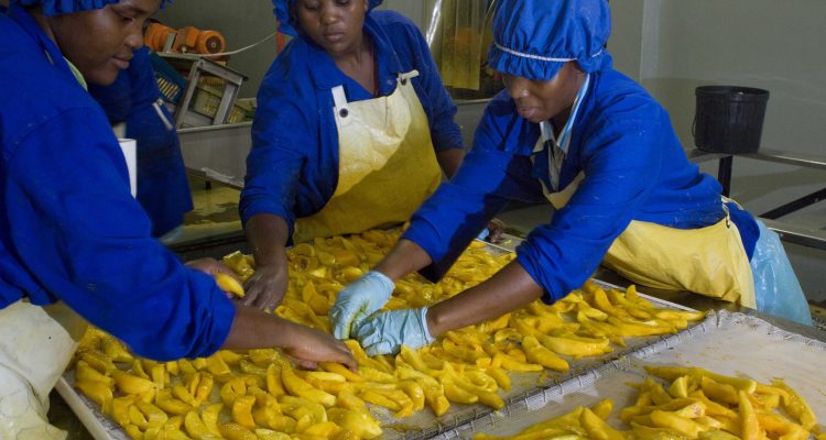 Togo : l’usage du formol dans certaines préparations alimentaires inquiète