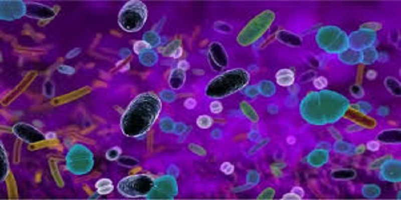 Alerte : l’humanité est au seuil d’une autre crise sanitaire globale