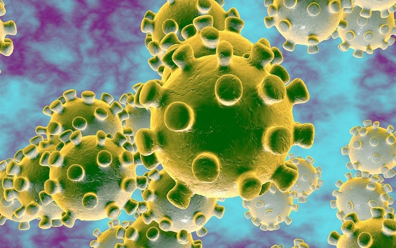 Une étude révèle que le coronavirus touchera au moins 15 millions de personnes