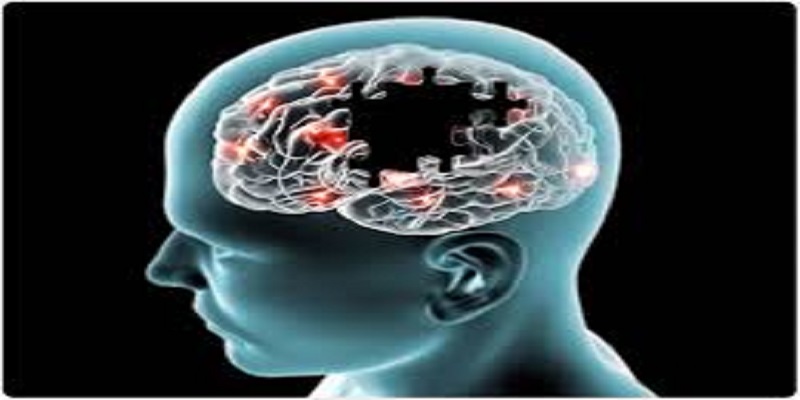 Alzheimer : cet aliment pourrait prévenir les troubles de la mémoire chez les malades