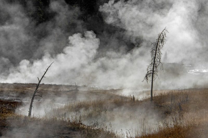 Changements Climatiques au Togo : France Volontaires s’engage avec le projet AVENIR