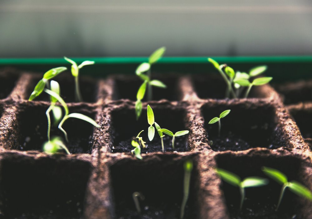 La CEDEAO lance un appel à propositions de projets pour la transition agroécologique