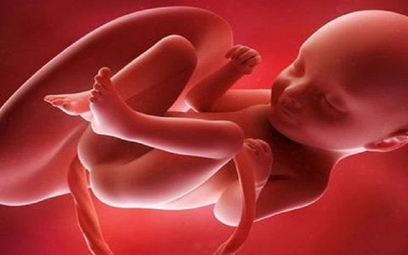 Après une grossesse entière dans un ovaire, un bébé vient au monde vivant