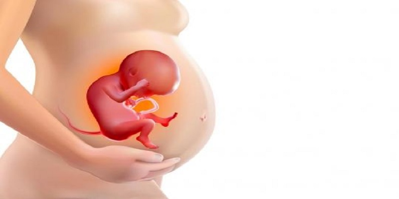 Attention grossesse : cet additif présent dans les bonbons et le dentifrice franchit la barrière du placenta
