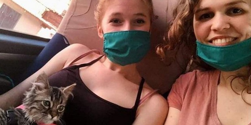 Belgique : le tribunal se prononce contre l’euthanasie du chaton péruvien Lee