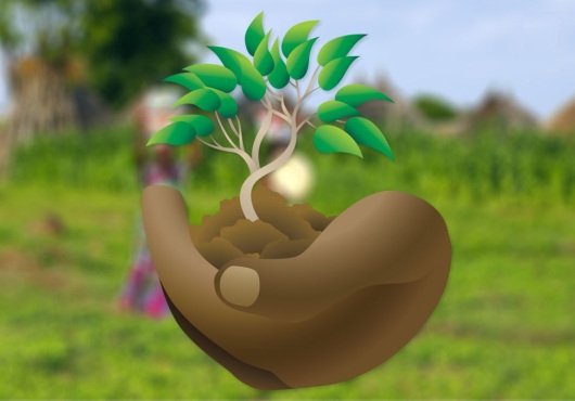 Bien préparer le terrain pour le reboisement