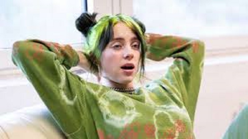 Scandale : Billie Eilish victime du harcèlement de la part un fan