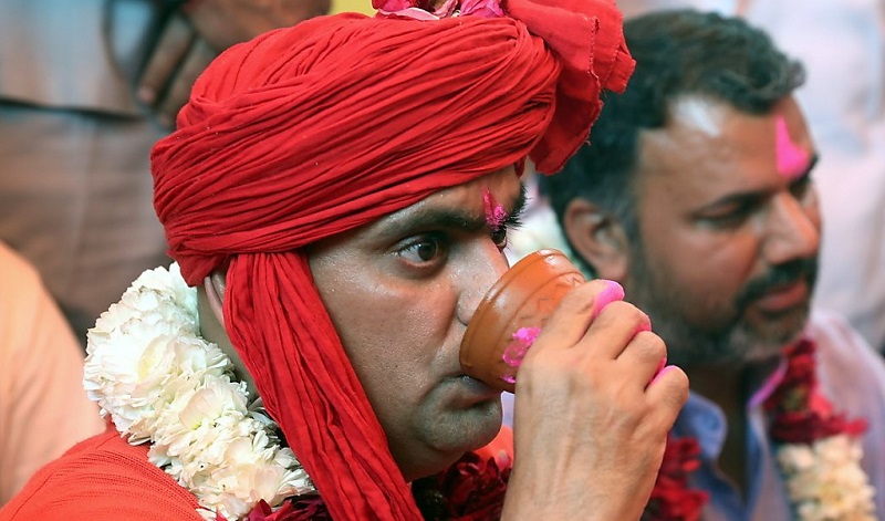 Bollywood : la recette à base d’urine de vache pour se protéger contre la Covid-19