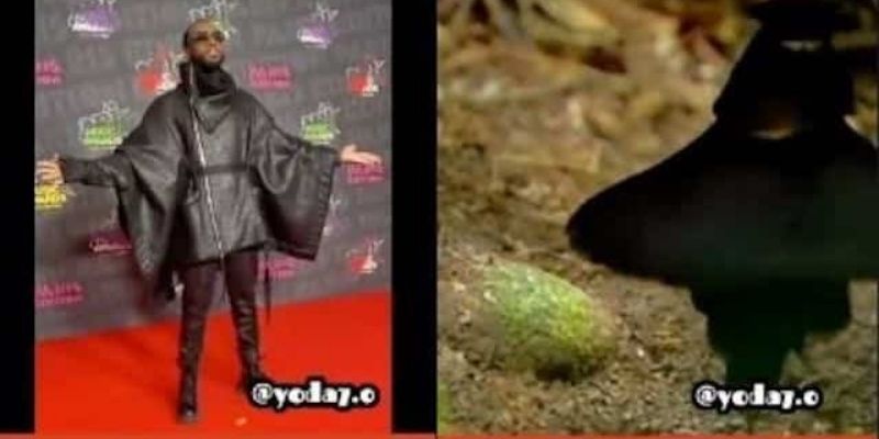 Booba : le rappeur ridiculise Gims en le comparant à un oiseau (photo)