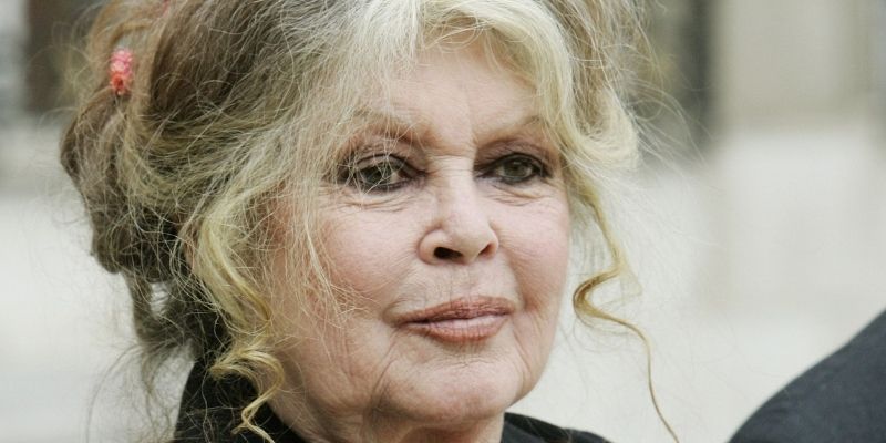 Brigitte Bardot : la Covid-19 «est arrivée à temps» car «il y a trop d’humains»