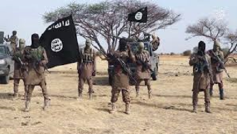 Nigeria : Boko Haram met la pression au président Buhari