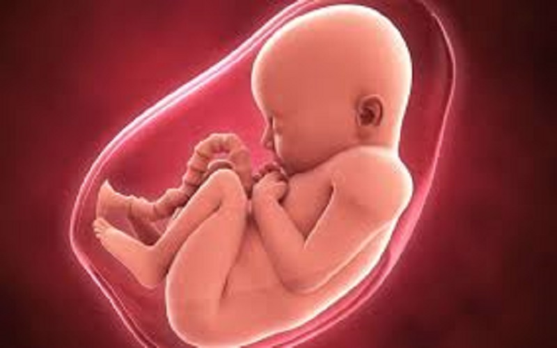 Cameroun : un réseau de trafic de foetus dirigé par un étudiant en gynécologie démantelé   
