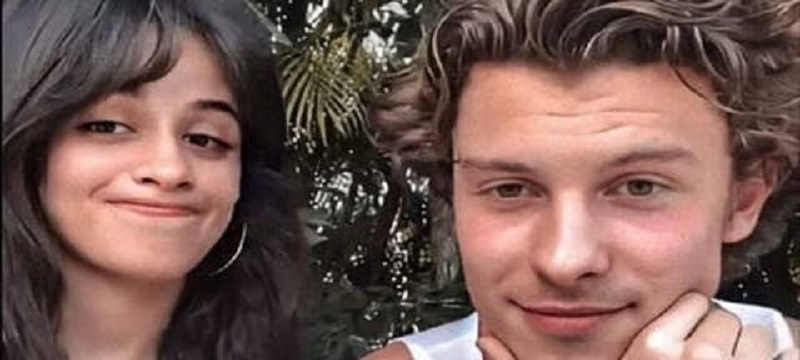 Camila Cabello : la star au plus mal depuis sa rupture avec Shawn Mendes