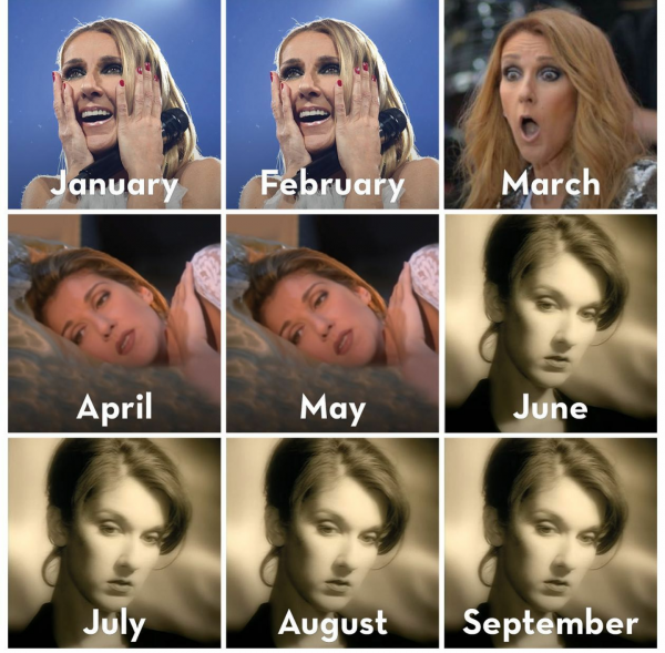 Fou rire : Céline Dion décrit 2020 en photos