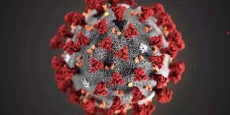 Japon : une toute nouvelle mutation du coronavirus découverte