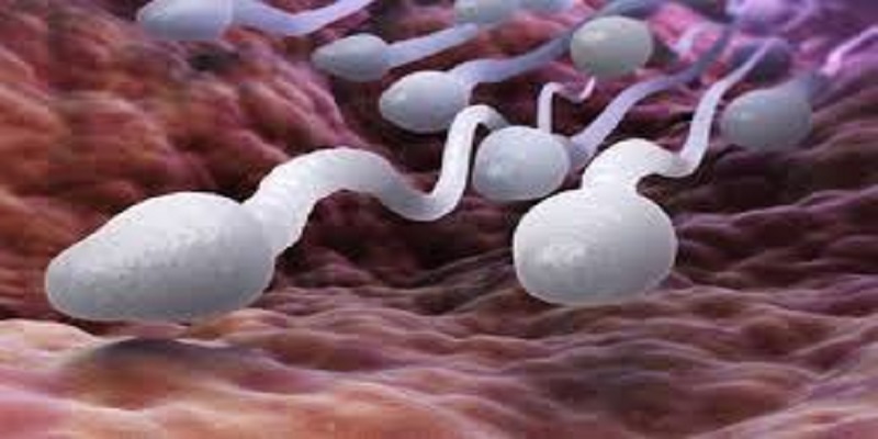 Covid-19 : le virus nuirait fortement à la qualité du sperme