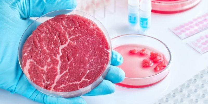 Ce pays autorise la vente de viande créée en laboratoire