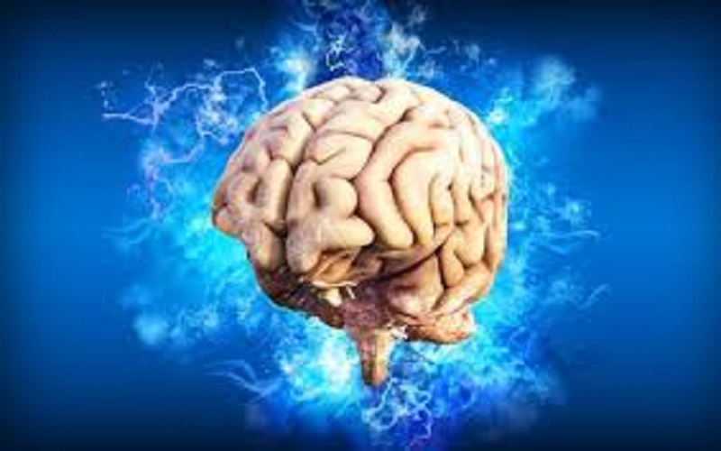 Covid-19 : le virus serait capable de s’installer dans le cerveau