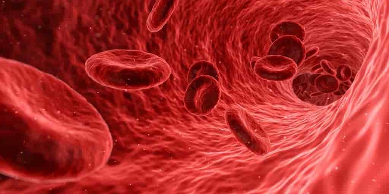 Ces globules rouges synthétiques surpassent les vrais