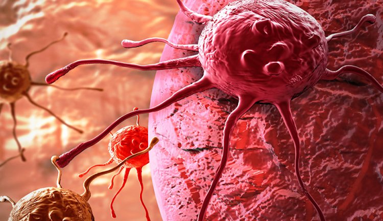 Cette découverte pourrait révolutionner la lutte contre le cancer