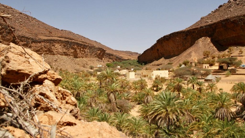 Changement climatique, un danger pour les oasis sahariennes