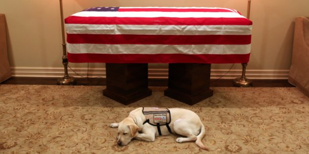 États-Unis : le chien de feu Georges Bush a le sens du devoir