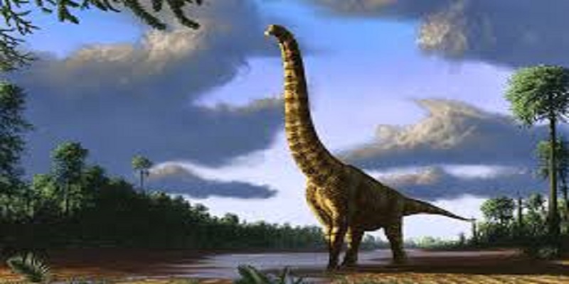 Chine : à 5 ans, il déchiffre des traces de dinosaures d’il y a 130 millions d’années