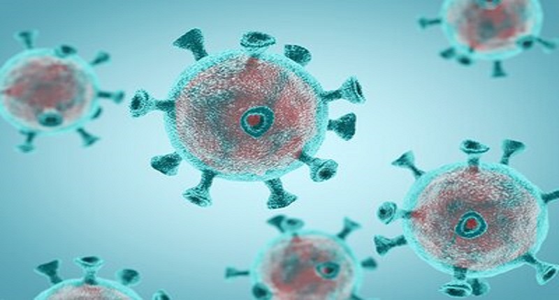 Chine / Hantavirus : un  autre  virus   mortel  détecté