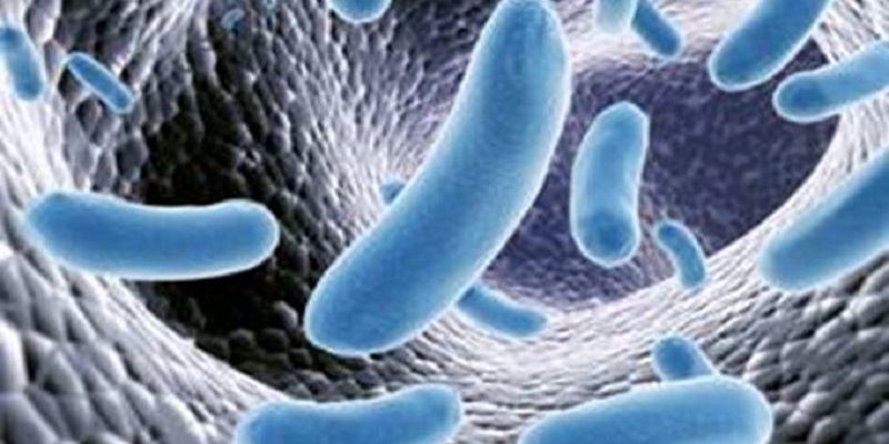 Chine : une bactérie s’échappe d’un laboratoire ; près de 3.000 personnes contaminées