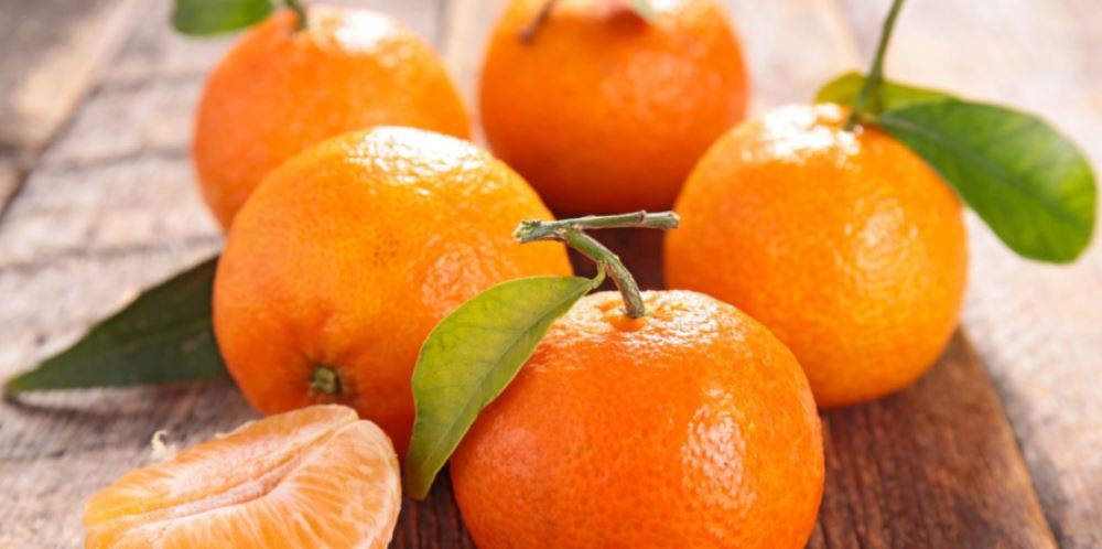 Clémentine ou mandarine, quelle différence ?