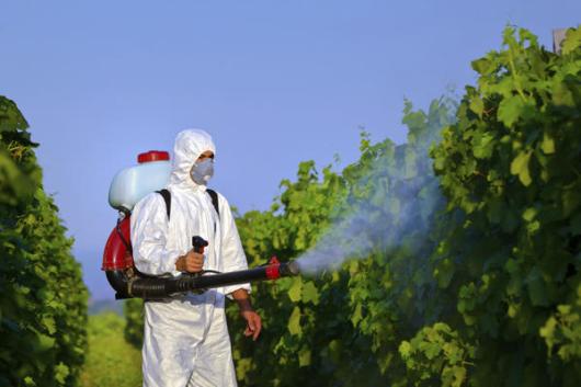 Contrôler les pesticides pour une innocuité optimale