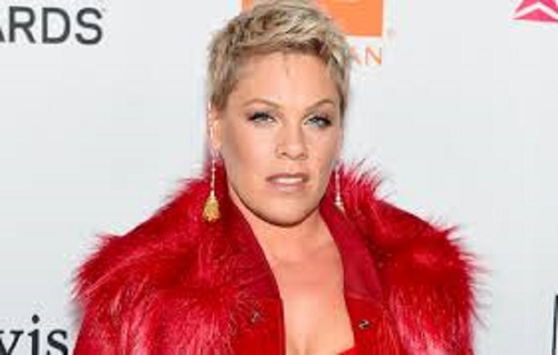 Pink : ses enfants de 9 et 3 ans apprennent à manier les armes à feu, la vidéo fait scandale