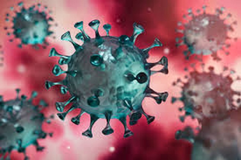 Coronavirus : des chercheurs désignent la plus grande « ruse » du virus