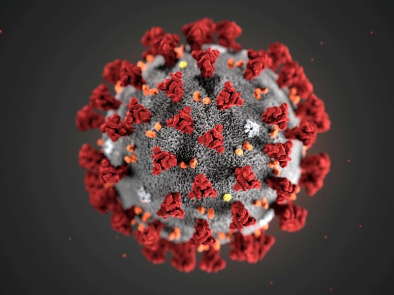 Le nouveau coronavirus fait des morts en Iran